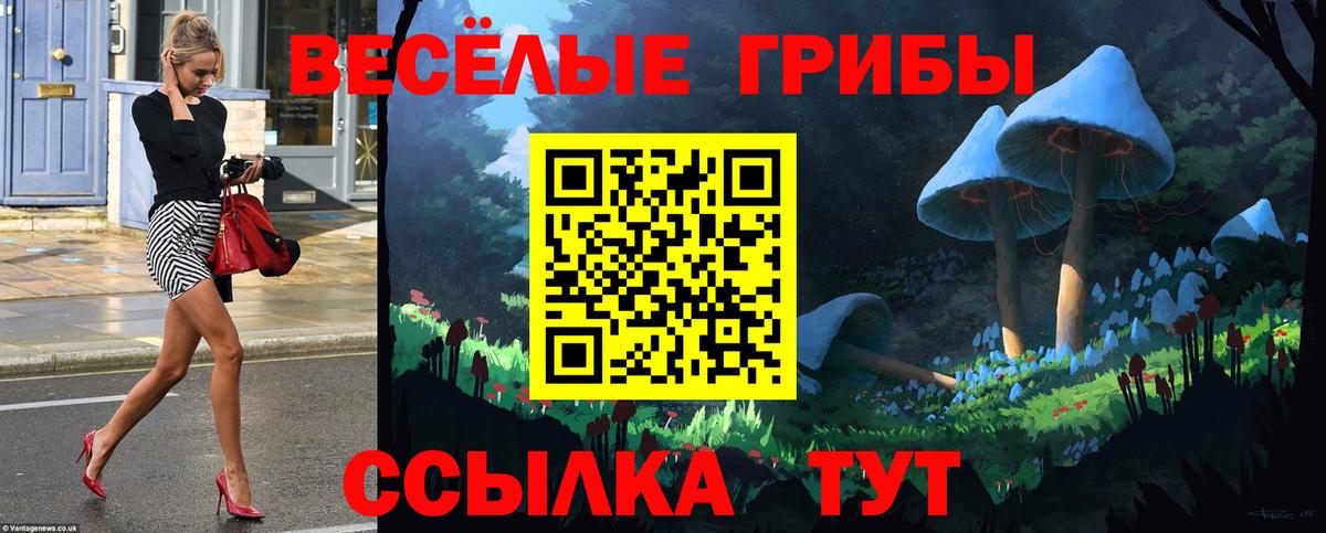 Псилоцибиновые грибы мицелий Долгопрудный