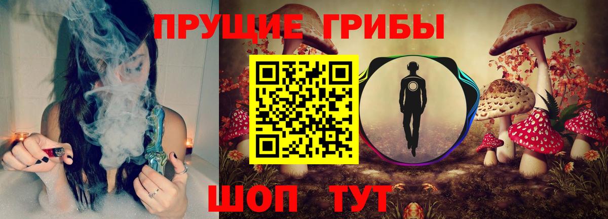 Долгопрудный  Псилоцибиновые грибы Psilocybine cubensis  купить   Галлюциногенные грибы прущие грибы  Вход с VPN 